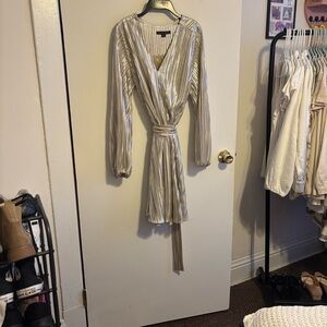 Boston Proper Champagne Shimmering Silver Long Sleeve Dress
